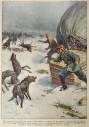 Meutes de loups attaquant l