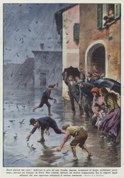 Des poissons tombés du ciel! Soulevés par une trombe marine formée au large