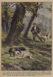 Protégé et sauvé par les chiens