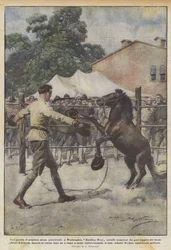 Un match de boxe sans précédent, à Washington, Battling Tony cheval champion des poids