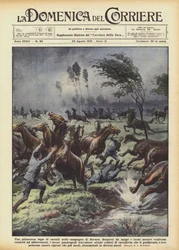 Une pittoresque fuite de chevaux dans les campagnes de Novara