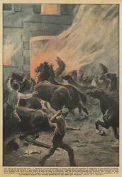 Un massacre de chevaux de course