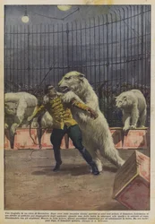 Une tragédie dans un cirque de Bruxelles