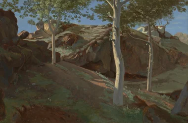 Bouleaux sur une pente rocheuse : Fontainebleu