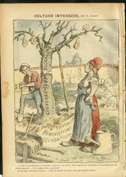 Illustration d