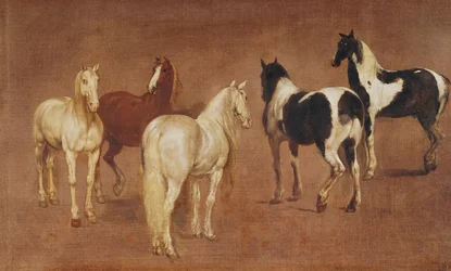 Étude de cinq chevaux