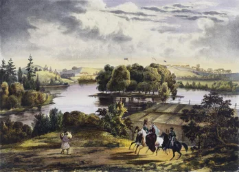 Vue d