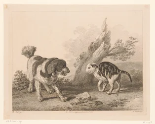 Chien et chat en position de combat