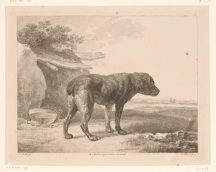 Chien debout dans un paysage