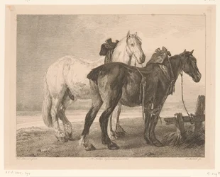 Deux chevaux dans un paysage fluvial (Dieren naar schilderijen van Hollandse meesters)