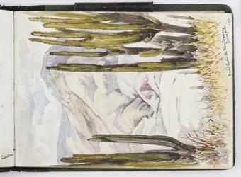 Carnet de croquis d