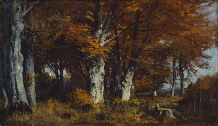 Forêt de hêtres en automne