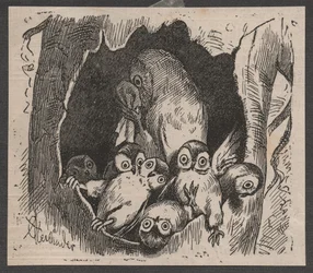 Chouette avec des petits, vers 1890