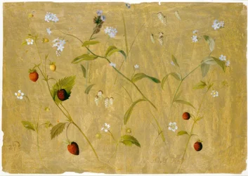 Fraises et myosotis