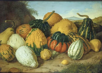 Grande nature morte avec citrouilles