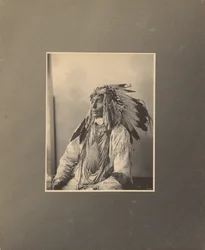 Tuer le cheval tacheté, Assiniboines
