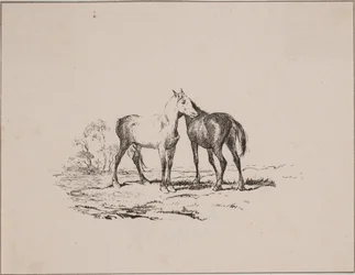 Les deux chevaux