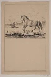 Le cheval dans l