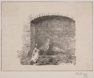 Les poules et les canards