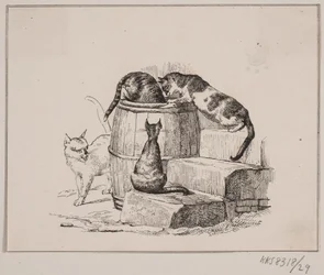Les chats