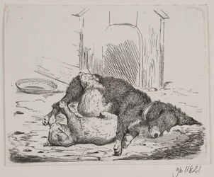 Chien enchaîné avec chiot