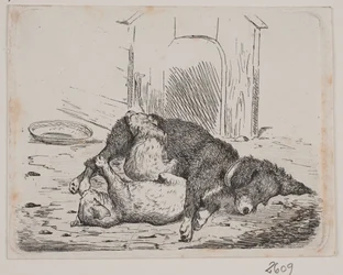 Chien enchaîné avec chiot