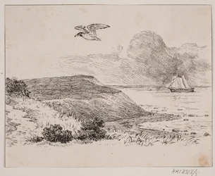 La mouette