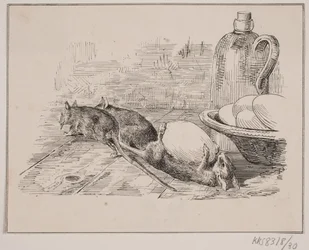 Les rats