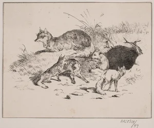Le renard