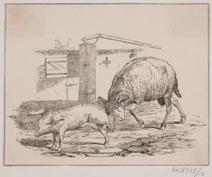 Le bélier et le cochon