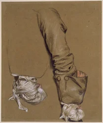 Bras et main bandée