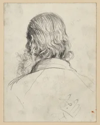 Tête barbue aux longs cheveux, vue de dos
