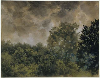 Vue sur un bosquet de feuillus
