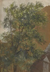 Vue de la fenêtre de son atelier à la Marienstraße 22