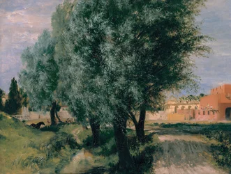 Chantier avec des saules