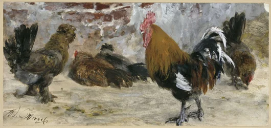 Le coq et les poules. De l