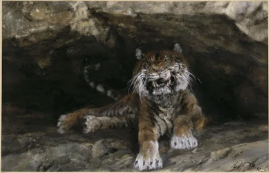 Le tigre. Extrait de « L