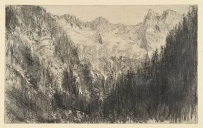 Haute montagne avec forêt de sapins au premier plan