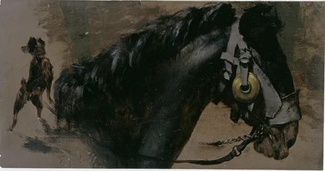 Tête de cheval et de chien