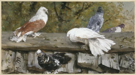 Pigeons sur un toit en bois. De l