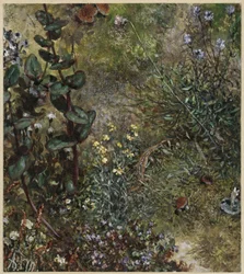 Sol forestier avec le lézard. Extrait de l