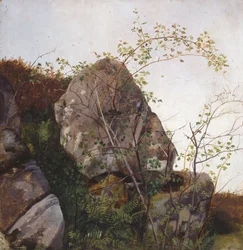 Églantiers en fleurs et fougères