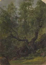 Étude de forêt de Numedal
