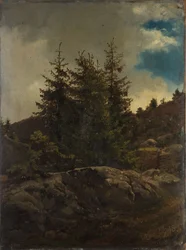 Paysage de Nes dans le Hallingdal
