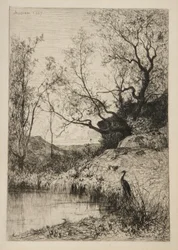 Paysage