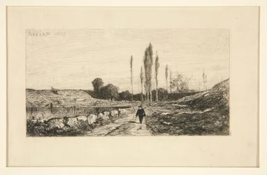 Sentier au bord