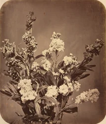Bouquet, vers 1855