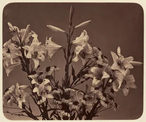 [Fleurs]