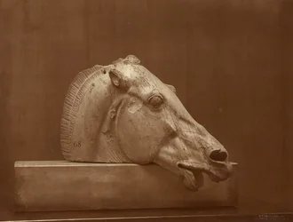 [Tête de cheval provenant du fronton du Parthénon, British Museum]