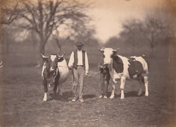Paysage,c. 1864 (photo)